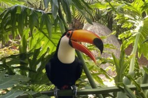 Lee más sobre el artículo Los ecosistemas y su importancia