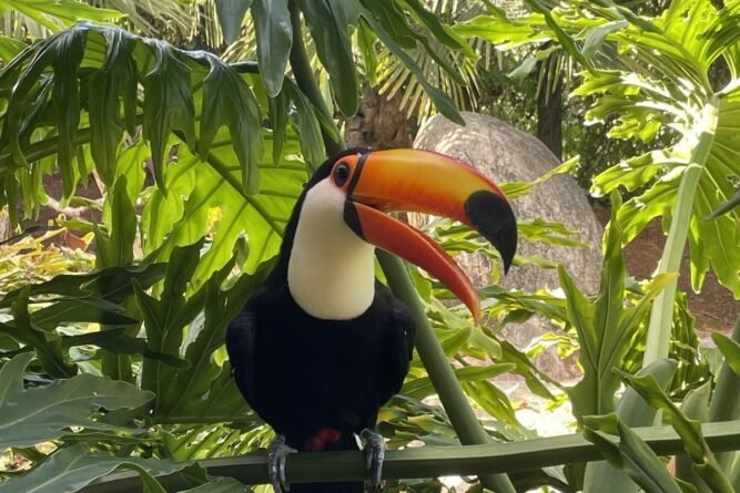 Los ecosistemas y su importancia